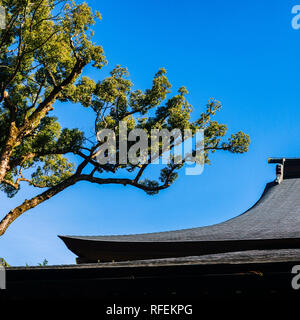 Ise Grand Shrine, Mie Prefecture, Japan: Roof detail Stock Photo