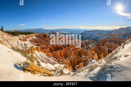 View of the amphitheatre, morning light, snow-covered bizarre rocky landscape with Hoodoos in winter, Rim Trail Stock Photo