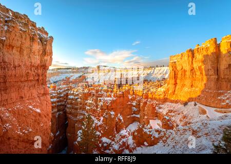 Amphitheatre in the morning light, snow-covered bizarre rocky landscape with Hoodoos in winter, Navajo Loop Trail Stock Photo