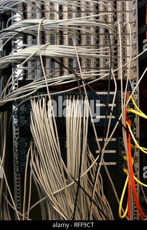 DEU Germany : Cable of a computer server center of a company. | Stock Photo