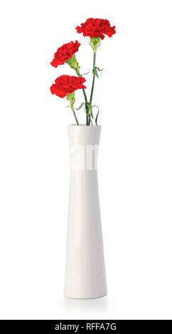 Three carnation flowers in white vase isolated on white Stock Photo