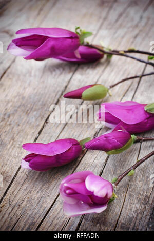 Magnolia Flower on old wooden table Stock Photo