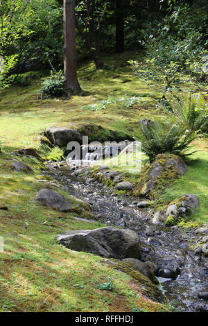 A flowing rocky bottomed stream running down a hillside surrounded by plants, trees and mosses at the Seattle Japanese Gardens in Seattle, Washington, Stock Photo