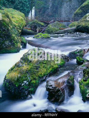 USA, Oregon, Columbia River Gorge National Scenic Area, Wahclella Falls (Tanner Falls) and Tanner Creek in autumn. Stock Photo