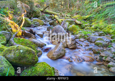 Natural fresh clean water flowing gently through and around granite bolders through lush green New Zealand bush. Stock Photo