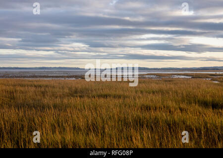 View to Lindisfarne from north east coastal path Stock Photo