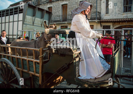 French lady driving horse drawn wagon carrying a mule in the Old School Parade of traditional trades at Annual Fete, Saint Gilles, Gard, France. Stock Photo