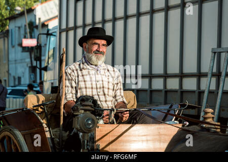 Mule pulling cart in the Old School Parade of traditional trades at Annual Fete, Saint Gilles, Gard, France Stock Photo