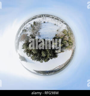 Sperical panorama of a winter forest Stock Photo