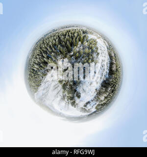 Sperical panorama of a winter forest Stock Photo