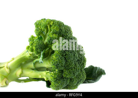 FRESH AND ORGANIC BROCCOLI TREE ISOLATED AGAINST WHITE BACKGROUND. HORIZONTAL STUDIO SHOT Stock Photo