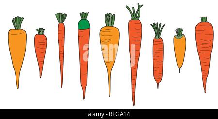 Orange Carrot Vector Drawing. Seamless Border on White Stock Vector