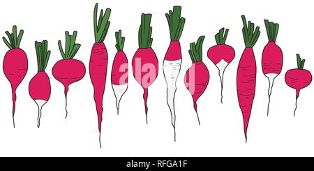 Pink and White Radish Vegetables Seamless Line Pattern on White. Border design Stock Vector