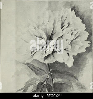Fall Trade List September 1901 Nursery Stock New York State