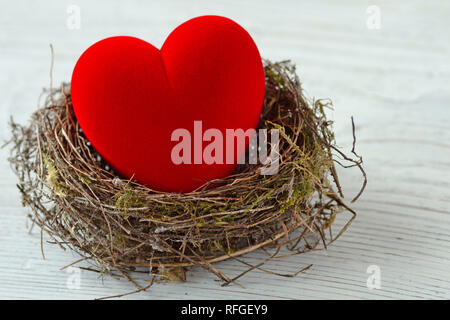 Red heart in nest - Love and protection concept Stock Photo