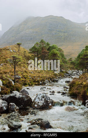 A view of the Allt Coire Rooill river and surrounding countryside near Torridon, Scotland Stock Photo