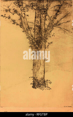 Arbre (Tree). Dated: 1892. Medium: lithograph. Museum: National Gallery of Art, Washington DC. Author: Odilon Redon. Stock Photo