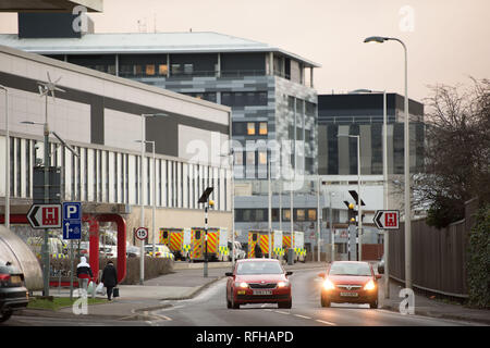 Glasgow, Scotland, UK. 25th January 2019. Various scenes showing different views from around the Queen Elizabeth University Hospital.  There have been 2 patient deaths reported recently which it is believed are linked to infections contracted through pigeon droppings. Credit: Colin Fisher/Alamy Live News Stock Photo