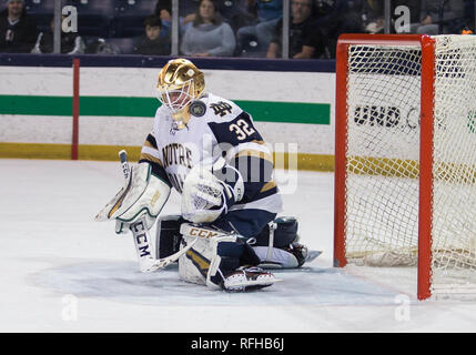 South Bend, Indiana, USA. 25th Jan, 2019. Notre Dame goaltender Cale Morris (32) makes the save during NCAA Hockey game action between the Michigan State Spartans and the Notre Dame Fighting Irish at Compton Family Ice Arena in South Bend, Indiana. John Mersits/CSM/Alamy Live News Stock Photo