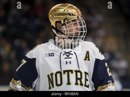 South Bend, Indiana, USA. 25th Jan, 2019. Notre Dame defenseman Bobby Nardella (27) during NCAA Hockey game action between the Michigan State Spartans and the Notre Dame Fighting Irish at Compton Family Ice Arena in South Bend, Indiana. John Mersits/CSM/Alamy Live News Stock Photo