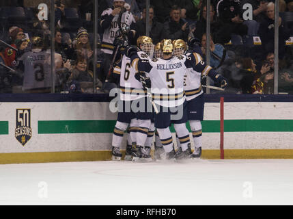 South Bend, Indiana, USA. 25th Jan, 2019. Notre Dame players celebrate goal during NCAA Hockey game action between the Michigan State Spartans and the Notre Dame Fighting Irish at Compton Family Ice Arena in South Bend, Indiana. John Mersits/CSM/Alamy Live News Stock Photo