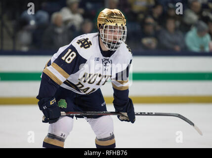 South Bend, Indiana, USA. 25th Jan, 2019. Notre Dame forward Graham Slaggert (18) during NCAA Hockey game action between the Michigan State Spartans and the Notre Dame Fighting Irish at Compton Family Ice Arena in South Bend, Indiana. John Mersits/CSM/Alamy Live News Stock Photo