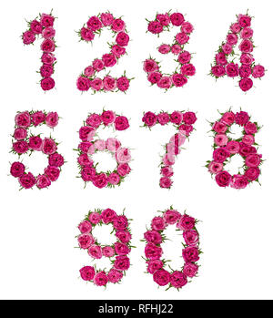 Set of arabic numbers from natural red flowers of roses, isolated on white background Stock Photo