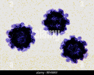 Norovirus virus particles, illustration. Norovirus is the most common cause of gastroenteritis. Infection is characterized by diarrhoea, vomiting, and stomach pain. Also known as the 'winter vomiting bug', Noroviruses are highly contagious, infecting approximately 267 million people a year. The symptoms last for between 24 and 60 hours. Stock Photo