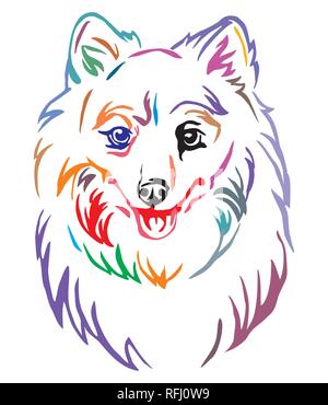 Colorful decorative outline portrait of Dog Japanese Spitz, vector illustration in different colors isolated on white background. Image for design and Stock Vector