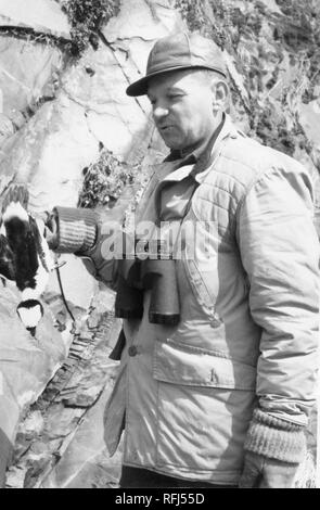 Black and white photograph of a squinting, middle-aged man, seen in three-quarter length profile view, wearing a hunting jacket and a cap, with binoculars strung around his neck, holding a dead game bird by the feet, with a cliff face in the background, photographed during a hunting and fishing trip located in Alaska, 1955. () Stock Photo