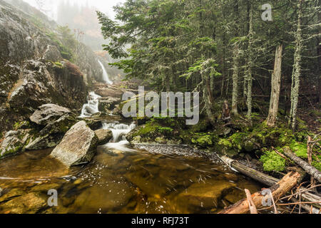 Indian Falls on Marcy Brook on a rainy day in autumn, Adirondack Mountains, Essex Co., NY Stock Photo