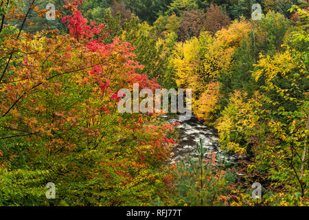 West Branch Ausable River in an autumn forest, Adirondack Mountains, Essex Co., NY Stock Photo