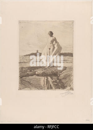 The Swan. Artist: Anders Zorn (Swedish, Mora 1860-1920 Mora). Dimensions: Plate: 9 3/4 × 7 13/16 in. (24.8 × 19.8 cm)  Sheet: 16 3/4 × 12 11/16 in. (42.6 × 32.3 cm). Date: 1915. Museum: Metropolitan Museum of Art, New York, USA. Stock Photo