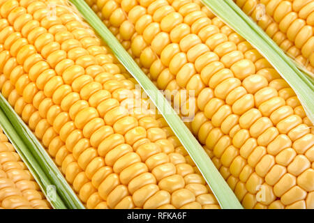 close-up view of fresh corn cobs Stock Photo