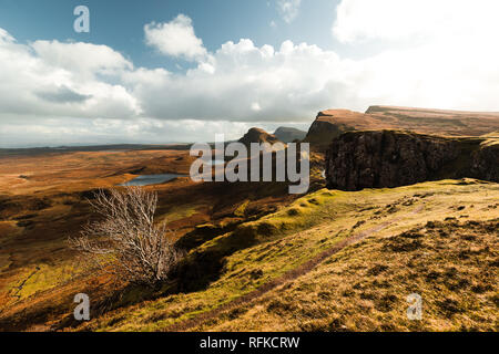 Hike towards the famous dead tree at Quiraing on a sunny autumn day with cloudy blue sky and panorama view of Skye (Isle of Skye, Scotland, Europe) Stock Photo