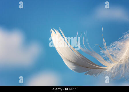 snow-white feather on blue sky background with clouds, lightness concept Stock Photo