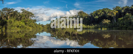 Panoramic view of Coati Lagoon near the Javari River, the tributary of the Amazon River, Amazonia. Selva on the border of Brazil and Peru. South Ameri Stock Photo