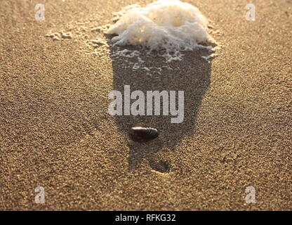 abnormal foam on the beach. pollution of the sea, poisonous discharges. salt foam, agglomerated on the sand of a beach at sunset. Stock Photo