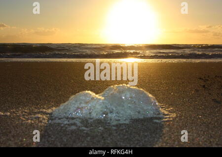 abnormal foam on the beach. pollution of the sea, poisonous discharges. salt foam, agglomerated on the sand of a beach at sunset. Stock Photo