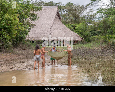 Iquitos, Peru- Sep 22, 2017: Children of Indian from Bora tribe playing in the river Stock Photo
