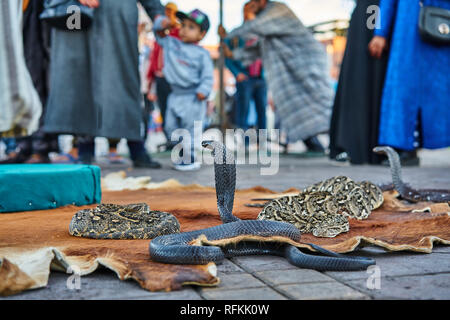 Snake charming in Jemaa El Fnaa, Marakech, Morocco. Snake charmers play exotic music for snakes. Stock Photo