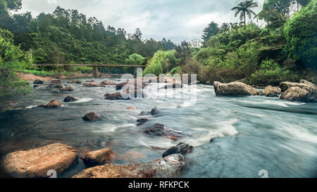 The clear, fast flowing water in the Karangahake Gorge is a beautiful scene even though it is a cold cloudy overcast day. Stock Photo