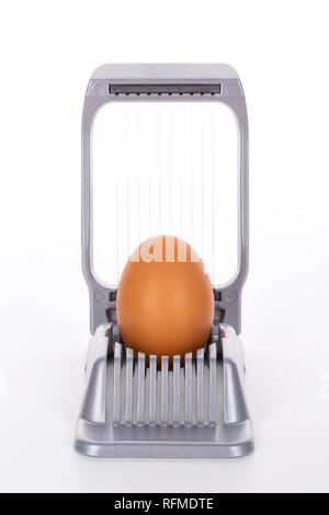 Egg cutter - slicer with brown egg on white background, clipping path, including all background elements, is included Stock Photo