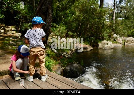 A child helps another child tie her shoelaces on a small wooden bridge over a flowing river, Eungella National Park, Queensland, Australia Stock Photo