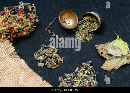 Different ding of teas on white background: green tea, red tea, thyme tea, cinnamon sticks, dried strawberries Stock Photo