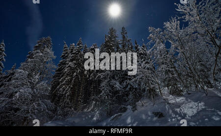 Full moon winter night fairytale Stock Photo
