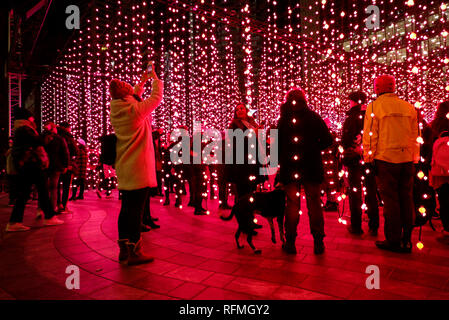 London, England – January 2019 : Submergence by Squidsoup, Winter Lights Festival 2019. Interactive art installations at Canary Wharf Stock Photo