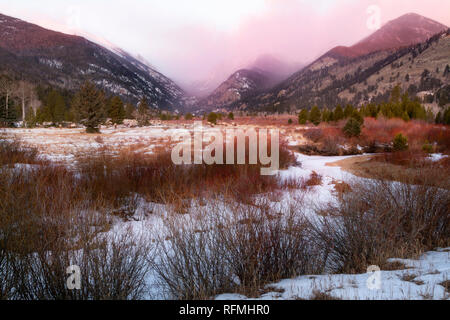 Fresh snow and a herd elk enjoy the winter morning in Rocky Mountain Park Stock Photo