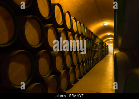 ELCIEGO, SPAIN - NOVEMBER 8, 2015: Barrels of wine in the interior of Marques de Riscal wine cellar Stock Photo