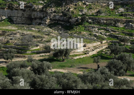 kidron nar wadi foothill